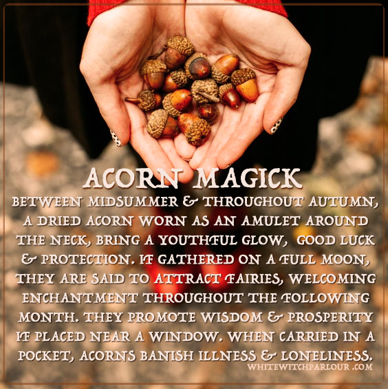 acorn-magick